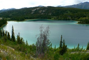 whitehorse canada 300x203 photo