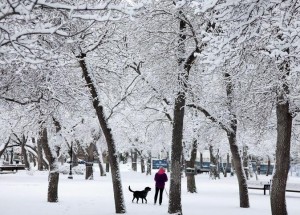 canada-neige