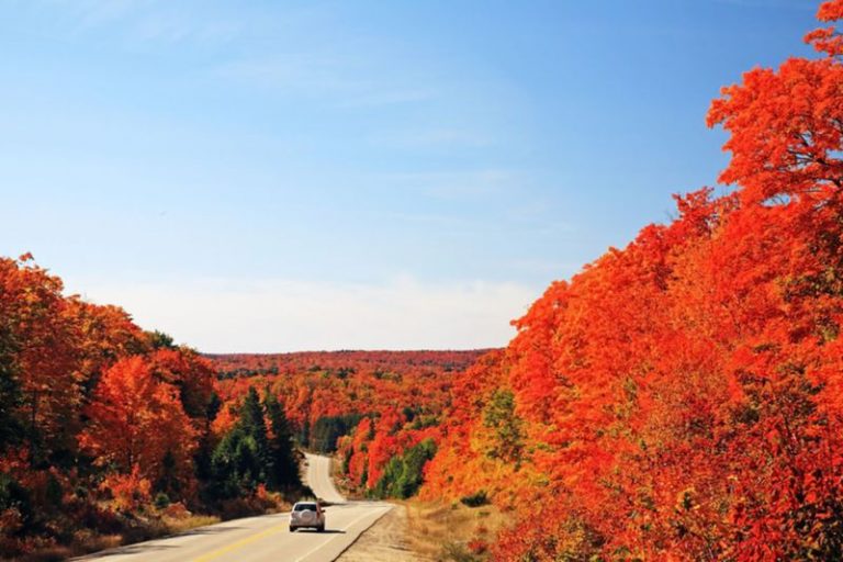 Algonquin, le plus grand des parcs provinciaux de l&rsquo;Ontario