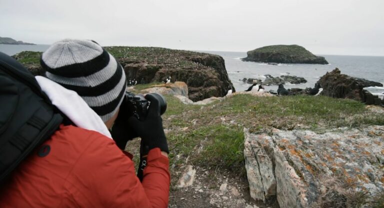 Saison des Pluies au Canada : Les périodes selon les régions et les lieux à explorer