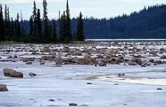 Parc national Wood Buffalo au Canada