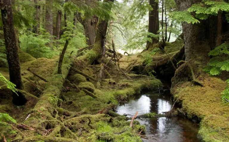 Réserve de parc national Gwaii Haanas