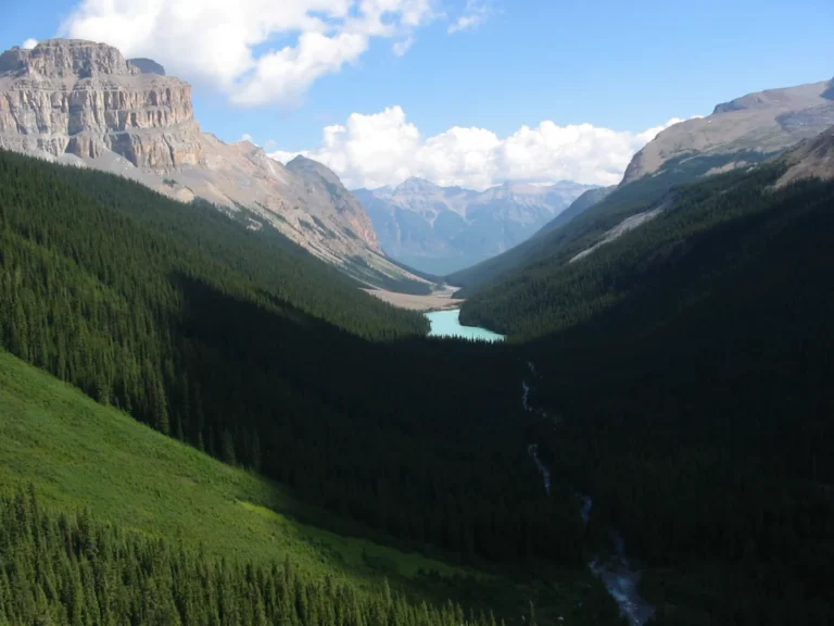 Parc national Jasper