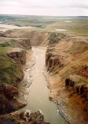 Parc national Tuktut Nogait au Canada