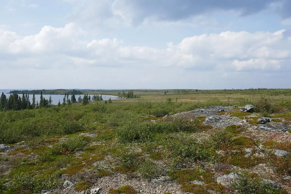 Réserve de parc national Thaidene Nëné au Canada